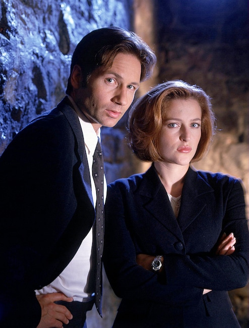 David Duchovny, Gillian Anderson, The X-Files,Tv Costar Feuds